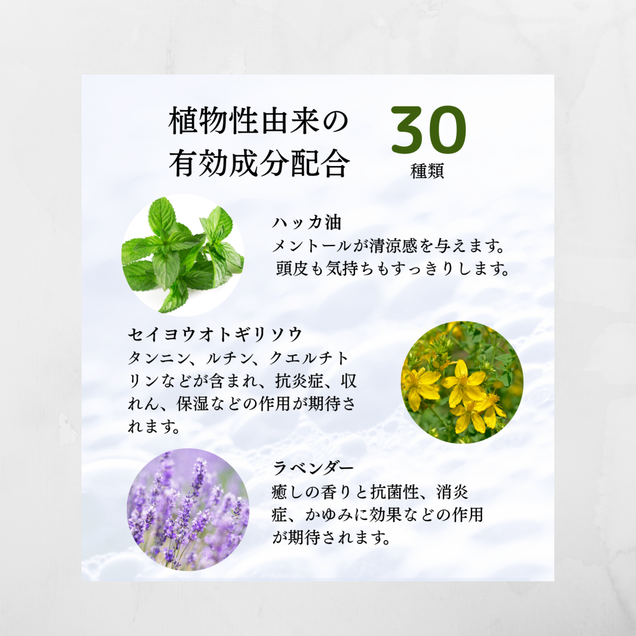 tmc. 炭酸シャンプー CARBONATO